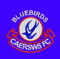 Caersws Juniors